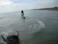 Reisetipp Ausritt am Strand