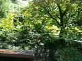 Reisetipp Der Japanische Garten