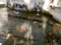 Reisetipp Pelion Dorfplatz-Mitte