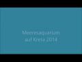 Reisetipp Meeresaquarium Kreta