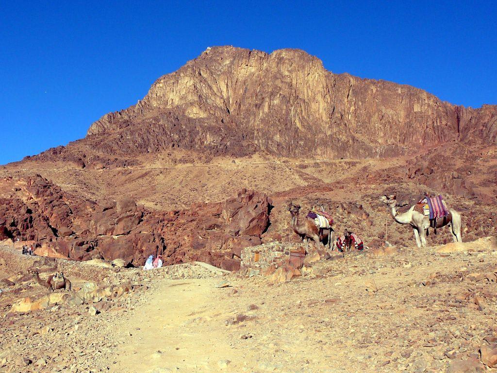 Bild "Mosesberg" zu Mosesberg - Berg Sinai in St Catherine
