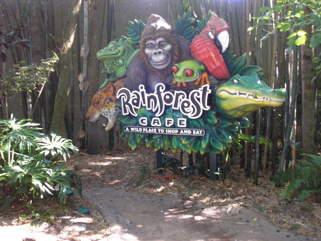 Bild Rainforest Cafe Zu Rainforest Cafe Animal Kingdom In Orlando