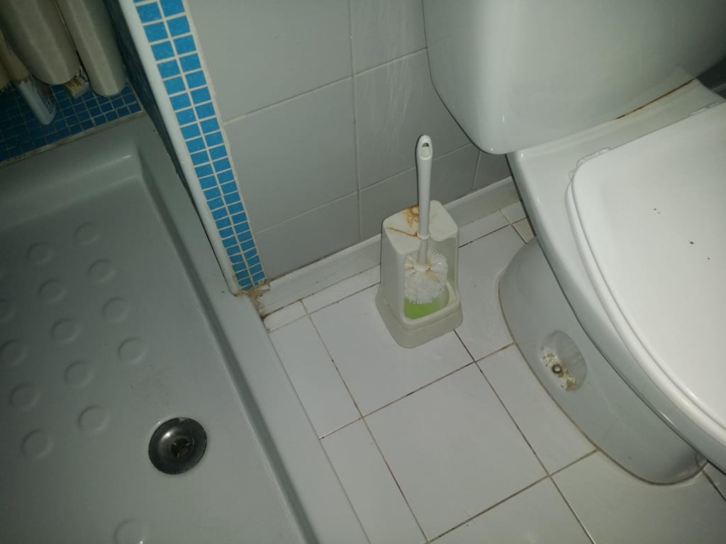 badezimmer stinkt nach kanalisation