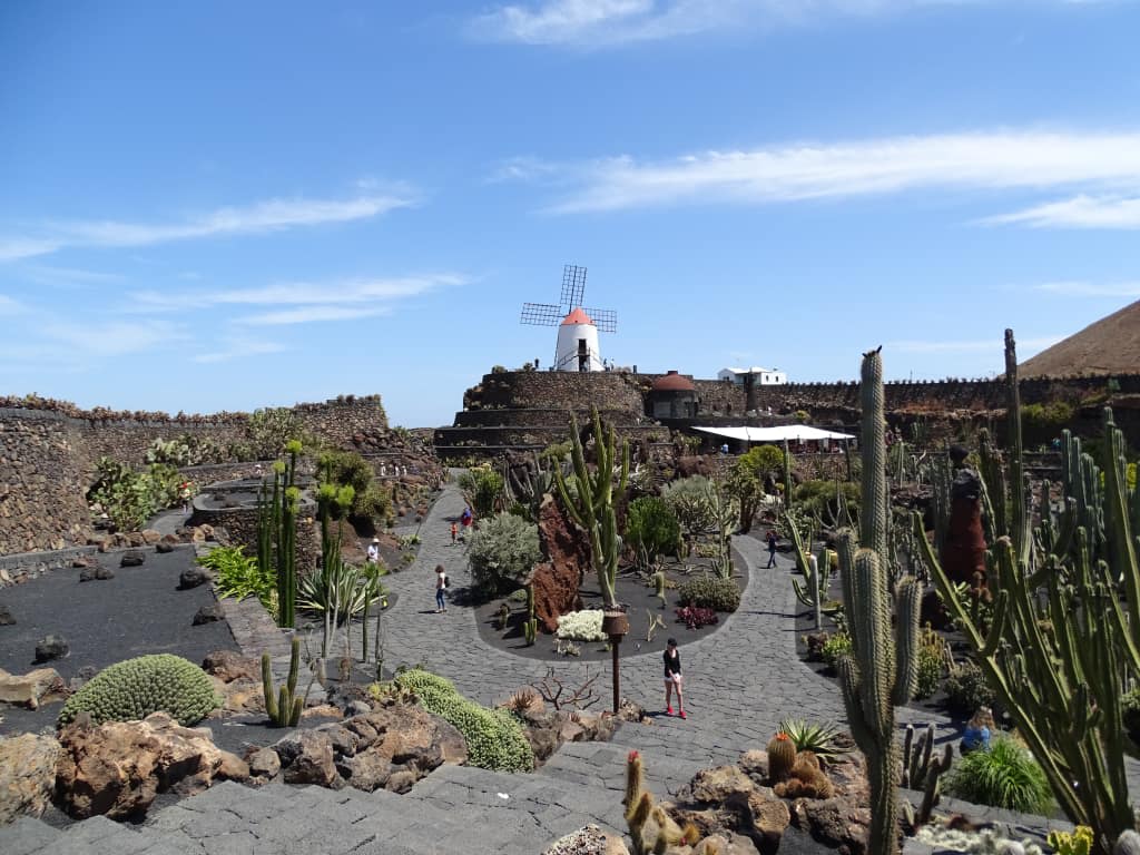 Bild "Jardin de Cactus" zu Inseltouren mit Guidos Taxi Lanzarote ...