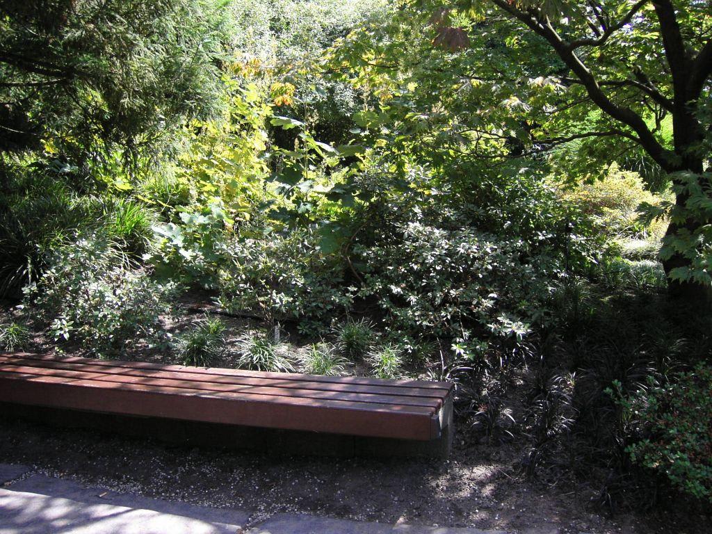 Bild "Schattige Ruhezone" zu Botanischer Garten Klein Flottbek in Hamburg
