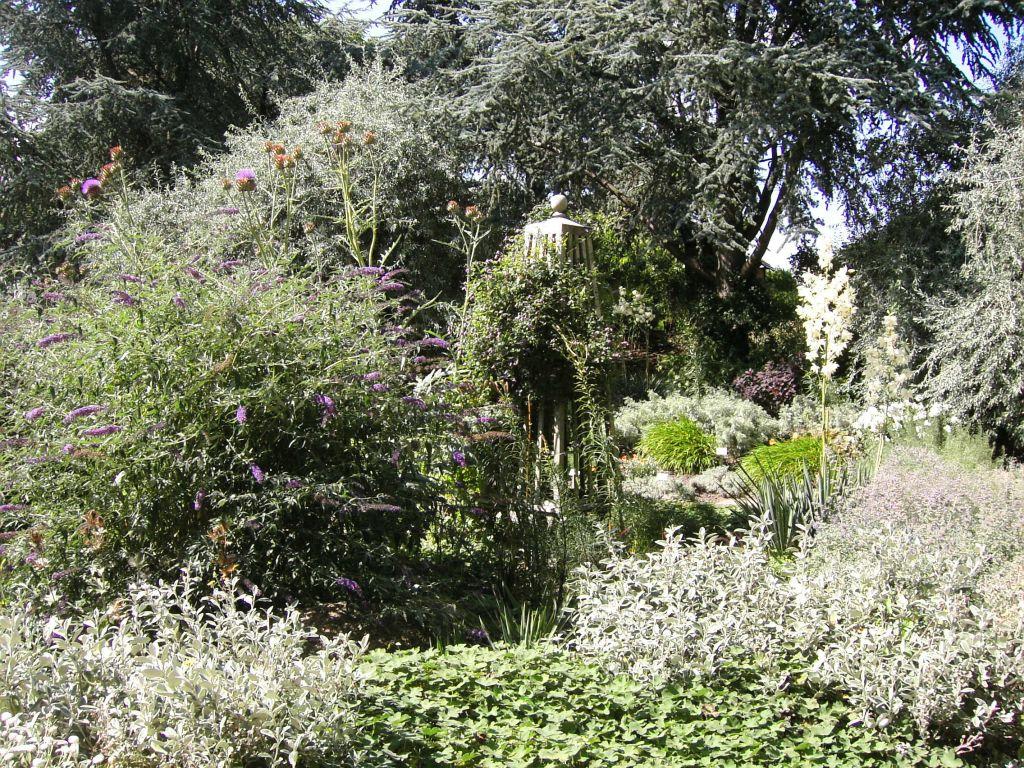 Bild "Blühende Pflanzen " zu Botanischer Garten Klein Flottbek in Hamburg