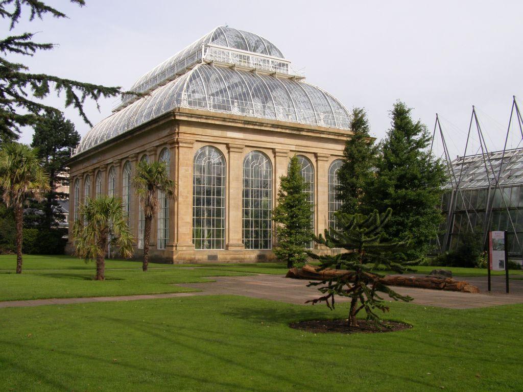 Bild "Tropisches Gewächshaus" zu Botanischer Garten Edinburgh in Edinburgh