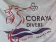 Tauchbasis Coraya Divers Marsa Alam
