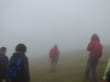 Reisetipp Madeira Wandern mit Christa - Nebel im Zauberwald