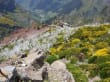 Reisetipp Madeira Wandern mit Christa - Madeira Wandern mit Christa