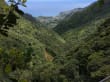 Reisetipp Madeira Wandern mit Christa - Madeira Wandern mit Christa