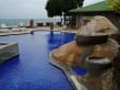 Pool - The Coco de Mer Hotel &amp; Black Parrot Suites