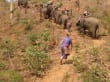 Reisetipp Elephant Special Tours - Sehr trocken
