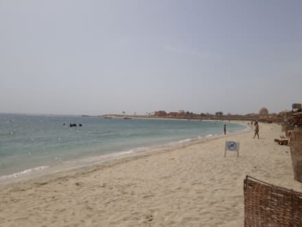 Strand Abu Dabbab - Bucht Abu Dabab