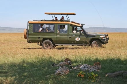 sunworld safaris kenia