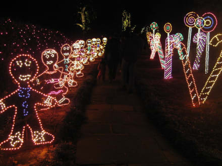 Magic Christmas In Lights Bild Bellingrath Gardens In Theodore