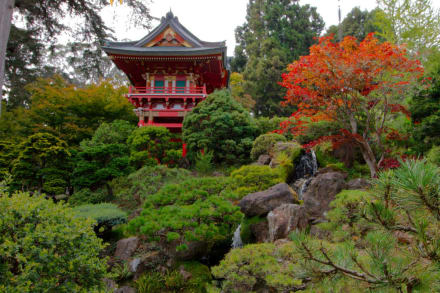 Japanese Tea Garden In San Francisco Holidaycheck