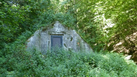 Dresden kaufen bunker Bunker günstig